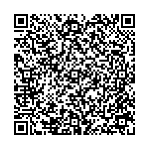 Лион Нижний Тагил пр-т.Октябрьский, д.5 контакты qr