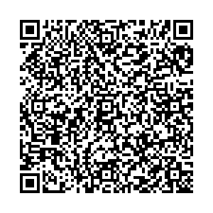 Лион Нижний Тагил ул. Дружинина, д.51 контакты qr