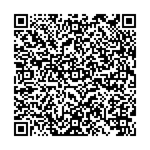 Лион Нижний Тагил ул. Лебяжинская, д.21 контакты qr