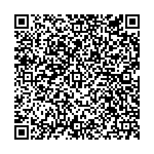 Лион Екатеринбург ул.Техническая, д.41 контакты qr