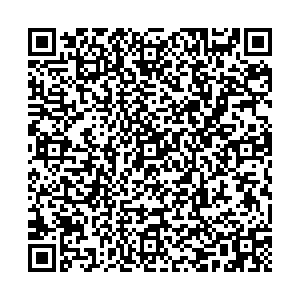 Лион Ижевск ул. Холмогорова, д.19 контакты qr