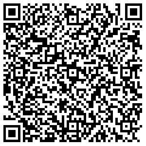 Лион Пермь ул. Писарева 29а контакты qr