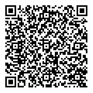 Лукойл Казань Гаврилова, 28г контакты qr