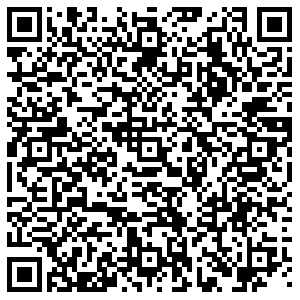 Магнит Тольятти Мира, 48 контакты qr