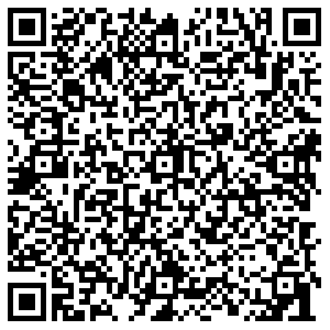 Магнит Тольятти Мира, 106 контакты qr