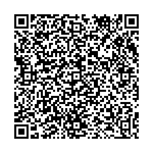 Магнит Тольятти Фрунзе, 8Б контакты qr