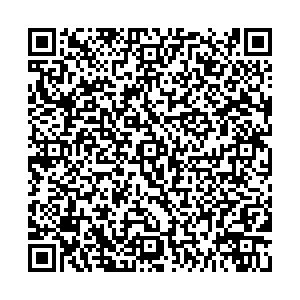 Магнит Воронеж Циолковского, 113/4 контакты qr