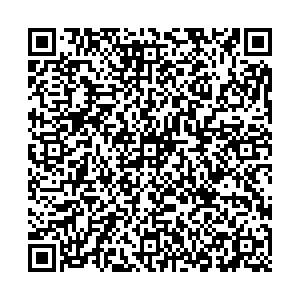 Магнит Саратов Рабочая, 29/39 контакты qr