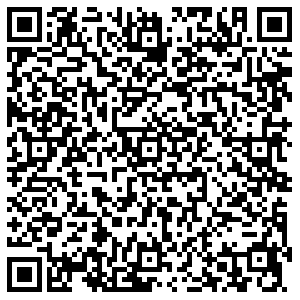 Магнит Курск Дейнеки, 13 контакты qr