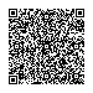 Магнит Георгиевск Ленина, 123/3 контакты qr