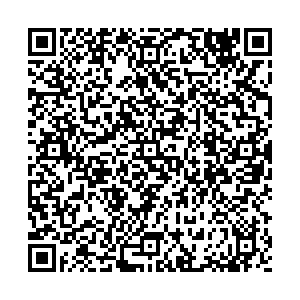 Магнит Подольск Красная, 10а контакты qr