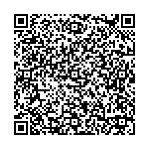 Магнит Электроугли Центральная, 97 контакты qr