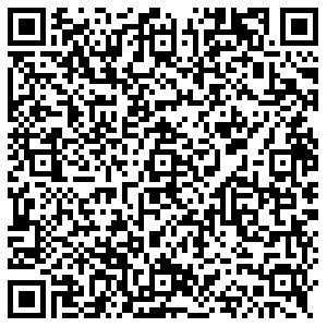 Магнит Домодедово Донская, 1 контакты qr