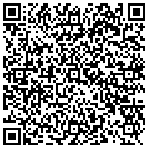 Магнит Владимир Диктора Левитана, 26 контакты qr