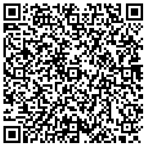 Магнит Пенза Бийская, 1г контакты qr