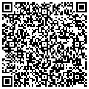 Магнит Саратов им. Разина С.Т., 80 контакты qr