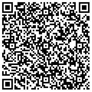 Магнит Псков д. Борисовичи, Венская, 8 контакты qr