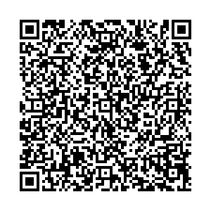 МАКС Пенза с. Лопатино, ул. Пионерская, д. 21 контакты qr