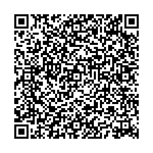 МАКС Псков пос. Дедовичи, ул. Октябрьская, д. 41 контакты qr