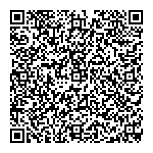 МАКС Владимир ул. Столетовых, д. 9 контакты qr