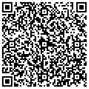 Максавит Липецк Папина, 13 контакты qr