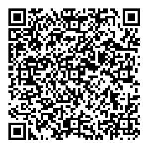 Максавит Казань Ломжинская, 1 контакты qr