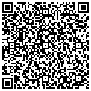 Макси Вологда Ленинградская, 100 контакты qr
