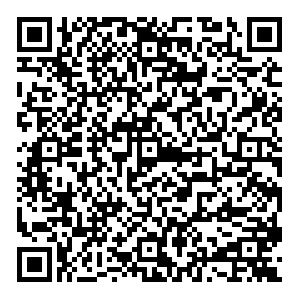 Mama Mia Тула Советская, 10 контакты qr