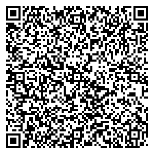 Метрополис Курган п. Лебяжье, ул. Октябрьская, д. 72а контакты qr