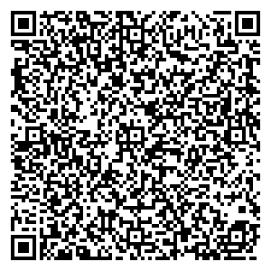 Метрополис Курган п. Мишкино, ул. Телеграфная, д. 8 контакты qr