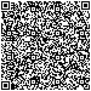 Международная школа Васильевой Л.Л. Самара ул. Г. Димитрова, 89 - 1 контакты qr