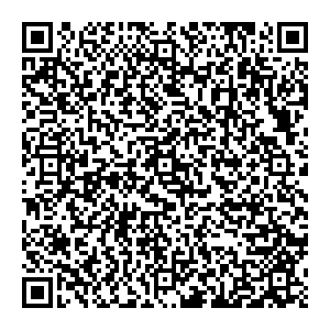 Мир Пиццы Нижний Новгород ул. Дьяконова, 11а, 2 этаж контакты qr