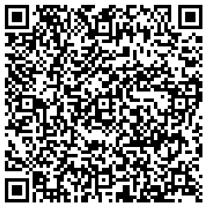 Модис Липецк Катукова, 51 контакты qr