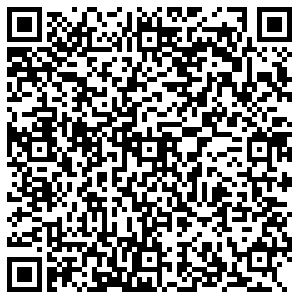 Молния Челябинск ул. Зальцмана, 20 контакты qr