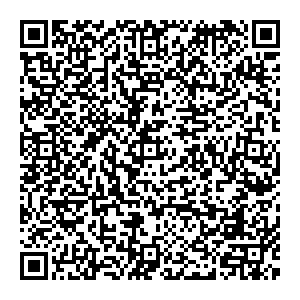 Мистер Дорс Кемерово ул. Весенняя, 19 контакты qr