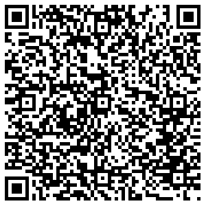 МТС Воронеж Мира, 2 контакты qr
