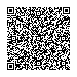 МТС Лесосибирск ул. Белинского, д.9 контакты qr