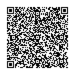 Nicolettihome Благовещенск ул. Амурская, д. 133 контакты qr