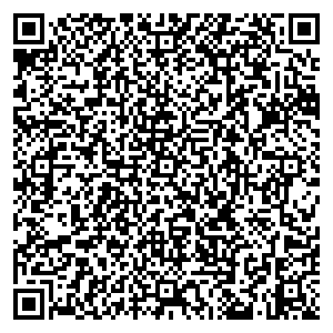 Новые Теле Системы Северск пр-т Коммунистический, 151 контакты qr