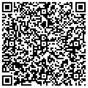 OLDOS Самара Партизанская, 80а контакты qr