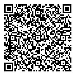 OZON Казань Центральная, 1г контакты qr