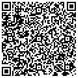 OZON Казань пгт Васильево, Школьная, 2 контакты qr