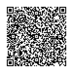 Палитра Владивосток ул. Бородинская, д. 46/50 контакты qr