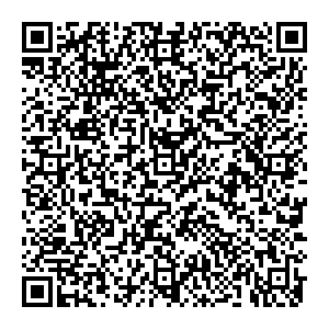 Palmetta Екатеринбург УЛ. БАУМАНА, Д. 23 контакты qr