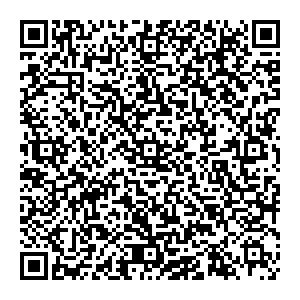 Palmetta Нижний Новгород УЛ. ВЕДЕНЯПИНА, Д. 2Б контакты qr