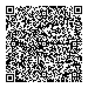 Palmetta Нижний Новгород ПЛ. РЕВОЛЮЦИИ, Д. 9 контакты qr