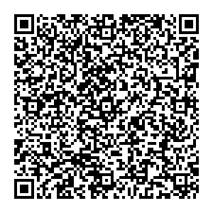 Palmetta Новосибирск УЛ. ВАТУТИНА, Д. 107 контакты qr