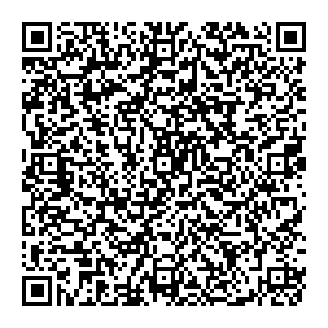 Palmetta Новосибирск УЛ. ФРУНЗЕ, Д. 238 контакты qr