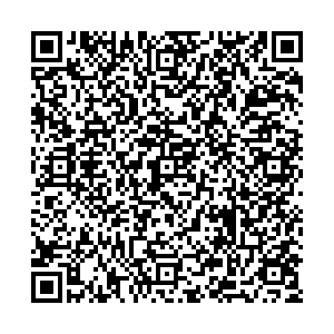 Palmetta Пенза УЛ. МОСКОВСКАЯ, Д. 83 контакты qr