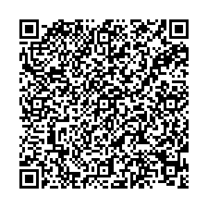 Palmetta Саранск УЛ. Б. ХМЕЛЬНИЦКОГО, Д. 28 контакты qr